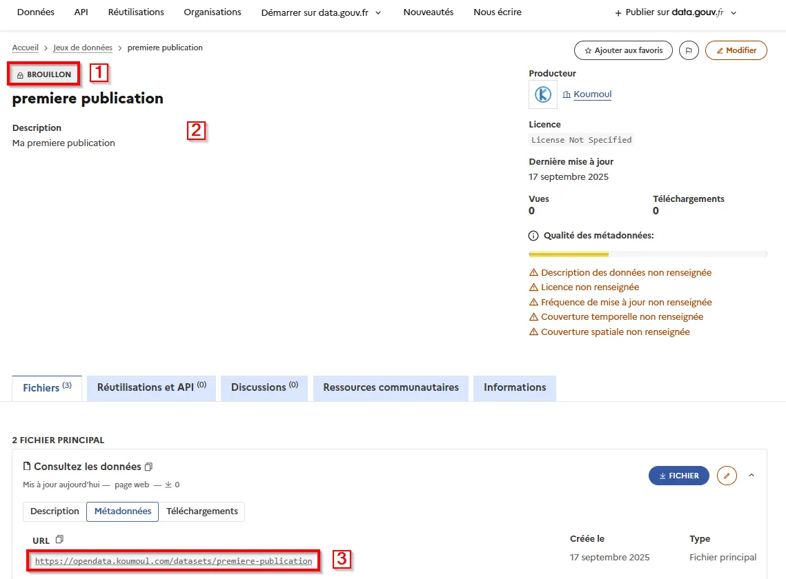 Page de publication sur le catalogue data.gouv.fr